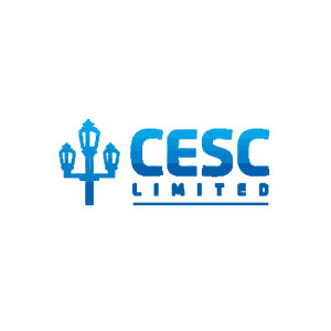 Cese Limited Company Logo