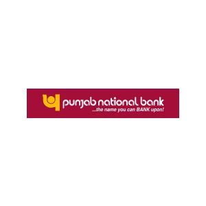 Punjab National Bank Company Logo