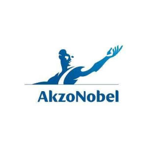Akzonobel Company Logo