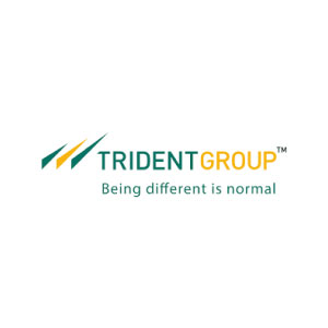 Trident Group Company Logo