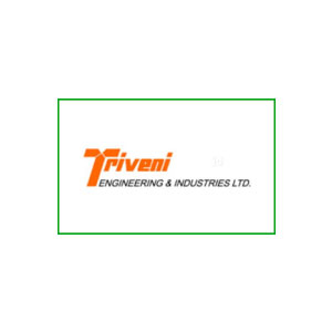 Triveni Company Logo